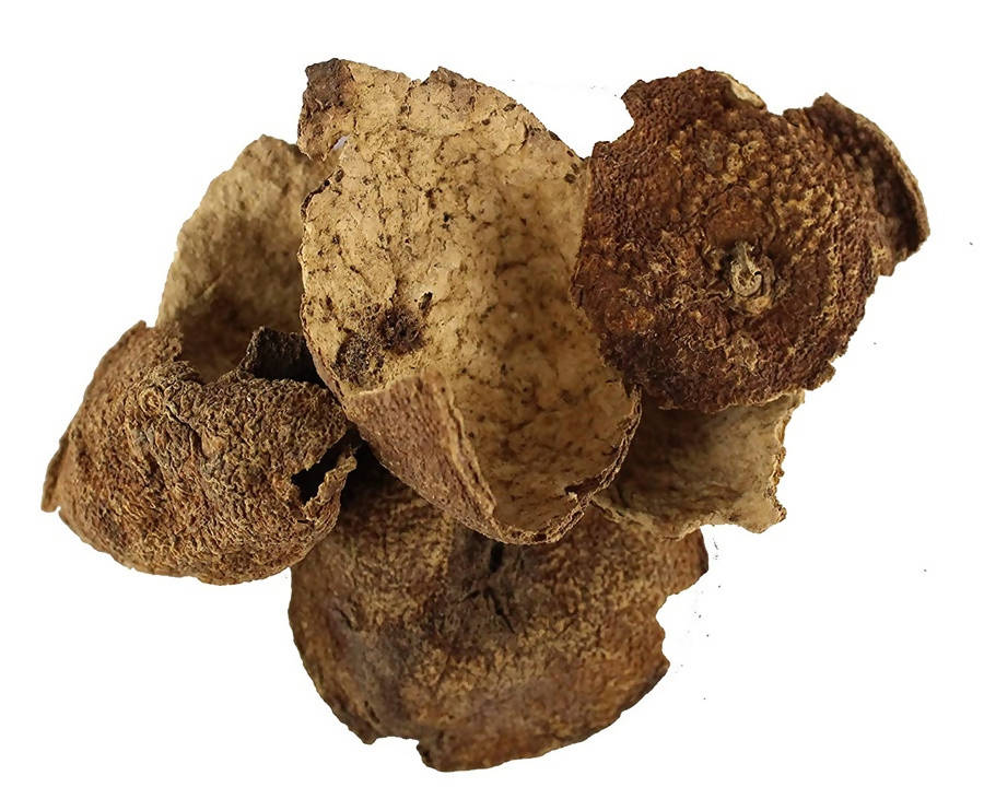 Dark Forest Amba Halad Powder - 200g  Dark Forest Khus Powder - 200g  Dark Forest Vekhand Powder - 200g  Dark Forest Orange Peel Powder - 200g  Dark Forest Kapur Kachri Powder - 200g
