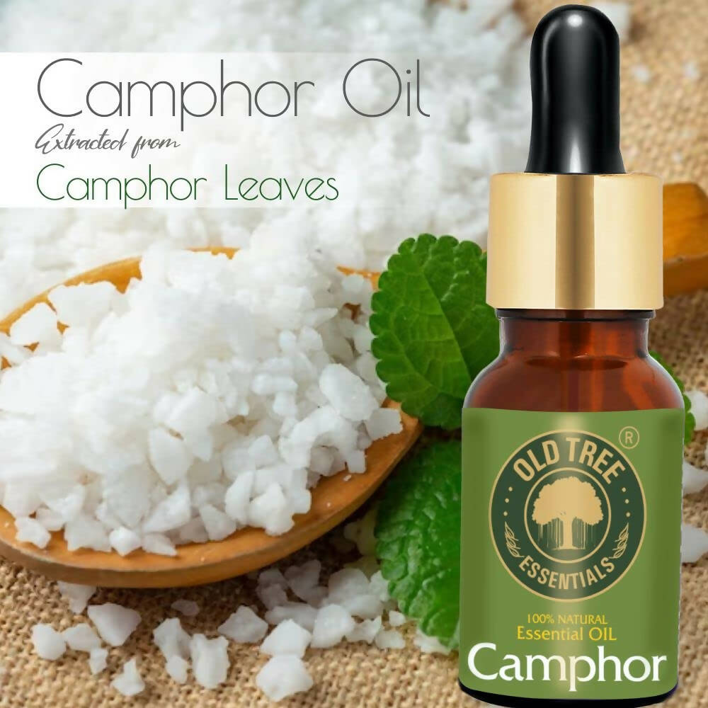 Old Tree Camphor Essential Oil - Distacart