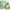 Oriental Botanics Australian Tea Tree Serum