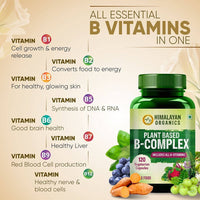 Thumbnail for Plant Based B-Complex Includes All B-Vitamins Whole Food: 120 Vegetarian Capsules