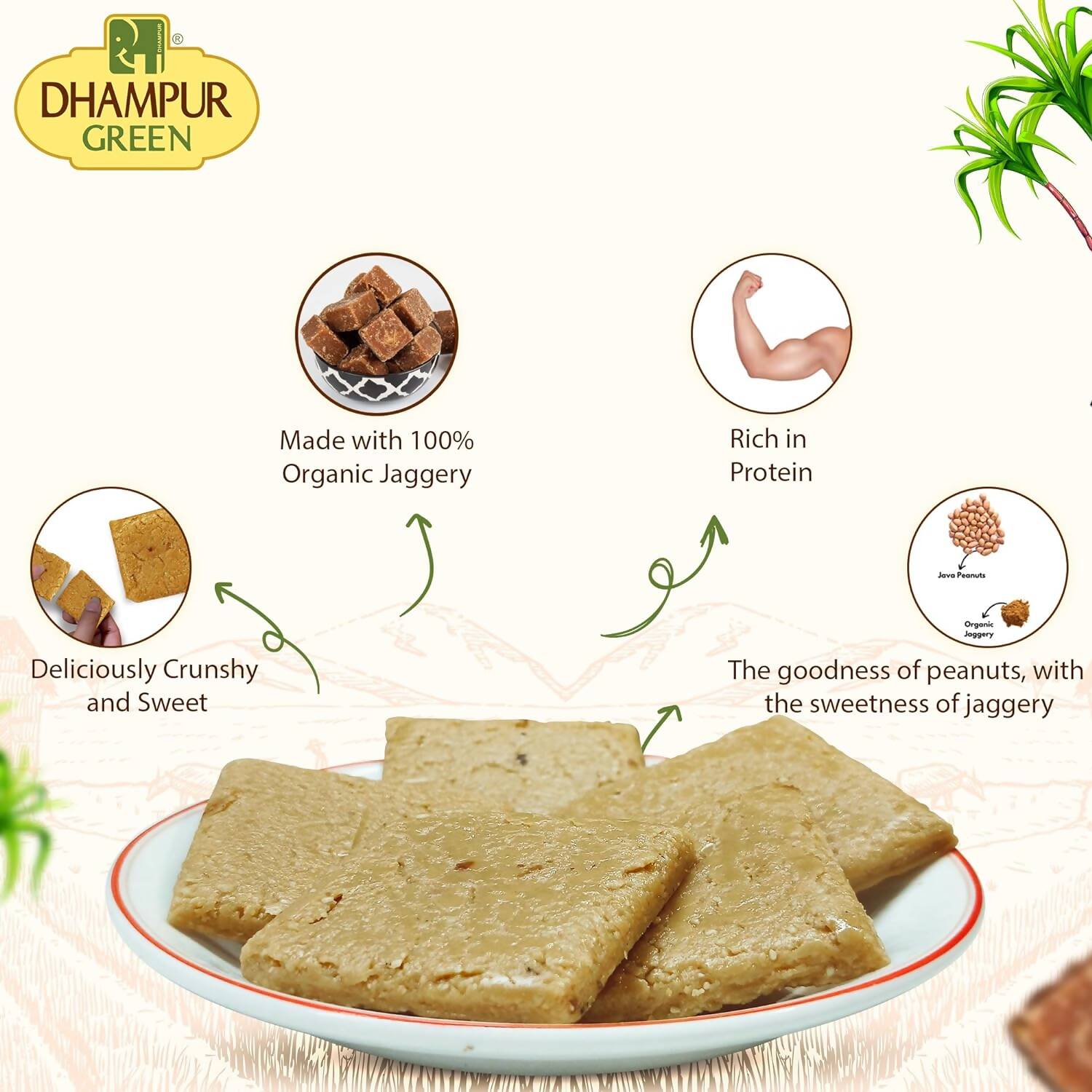 Dhampur Green Peanut Energy Bar - Distacart