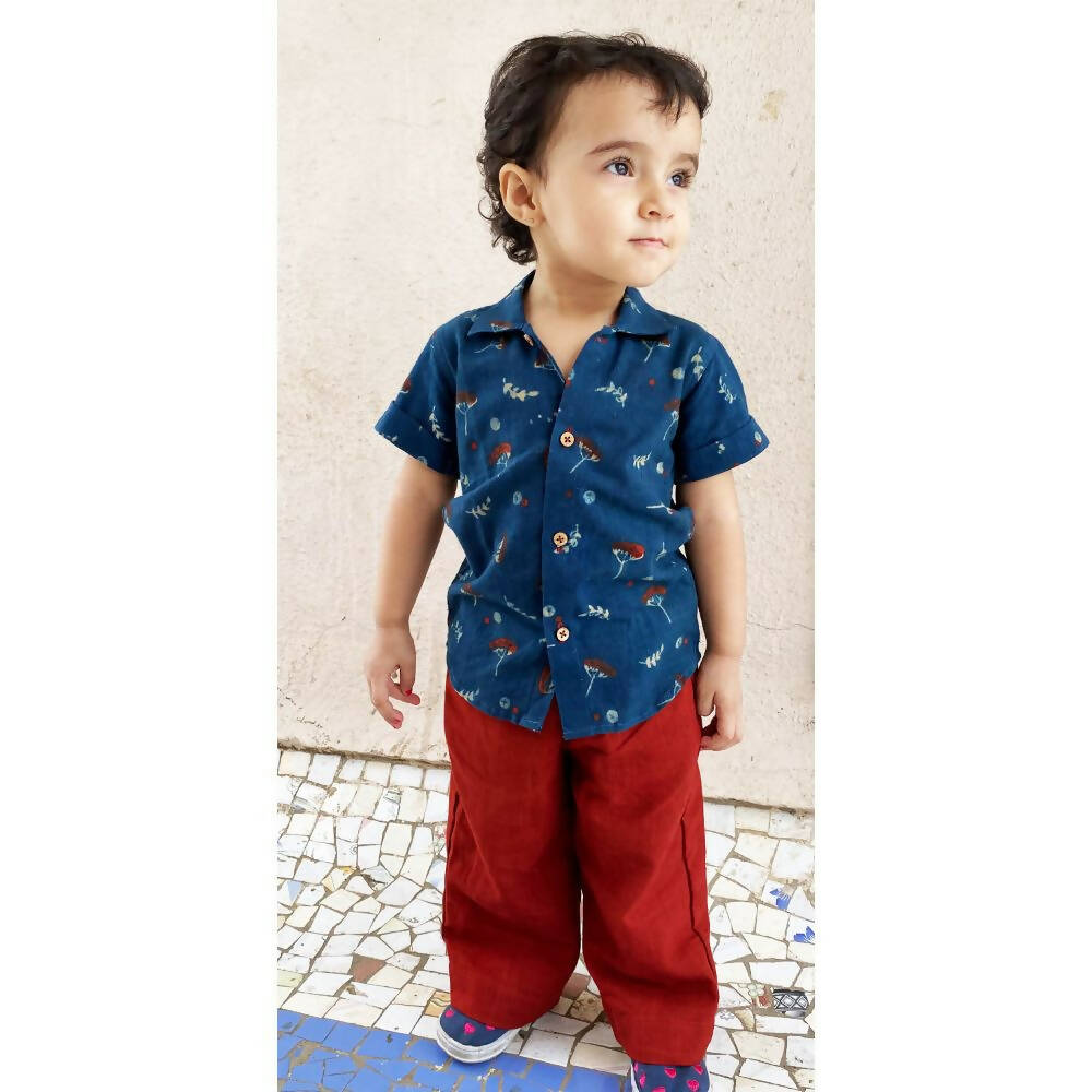 Mhyssa Half Sleeve Blue Shirt With Full Length Red Pant Set For Kids - Distacart