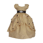 Thumbnail for Asmaani Baby Girl's Gold Color Satin A-Line Maxi Full Length Dress (AS-DRESS_22028) - Distacart