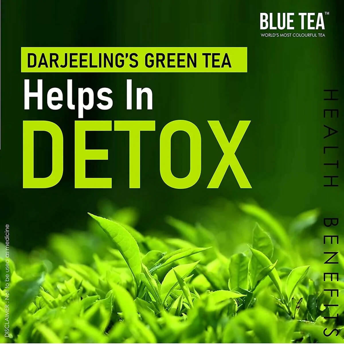 Blue Tea Organic Dandelion Green Tea Bags - Distacart