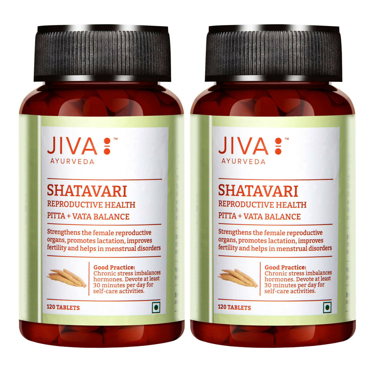 Jiva Ayurveda Shatavari Tablets - Distacart