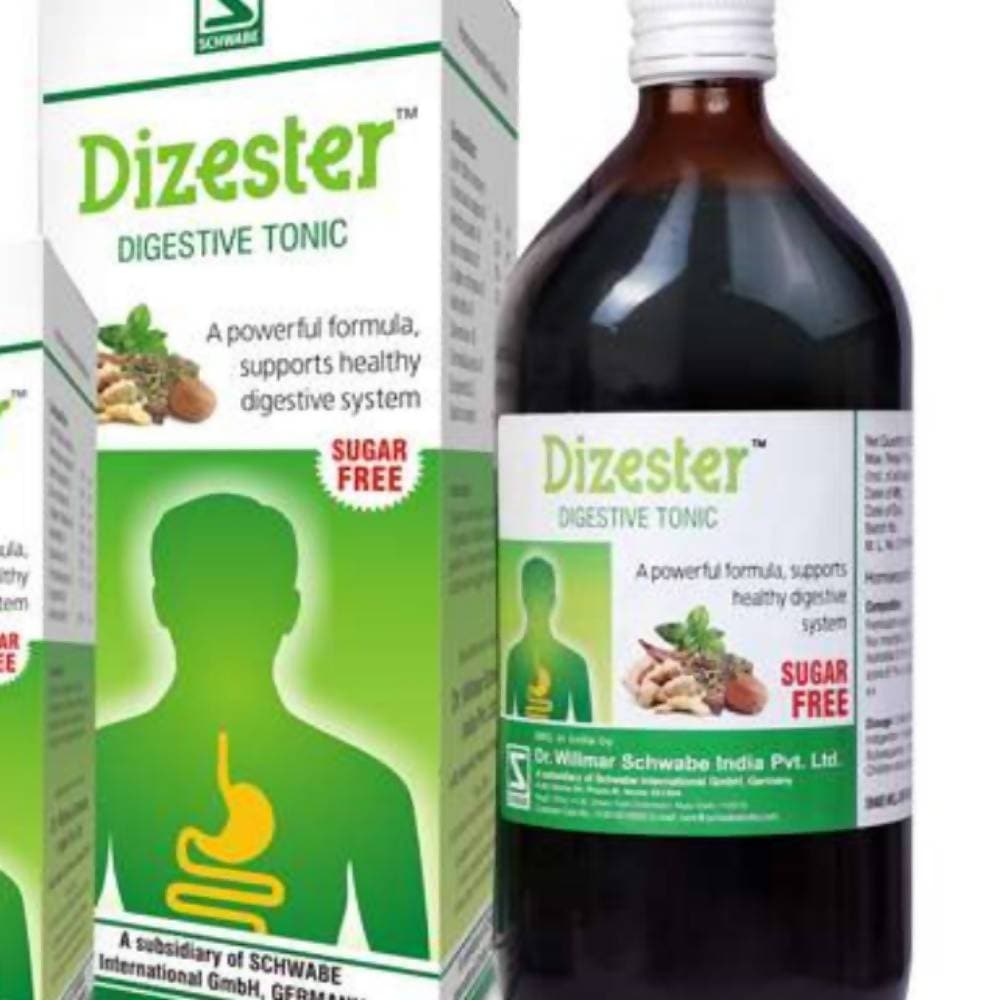 Dr. Willmar Schwabe India Dizester Digestive Tonic - Distacart