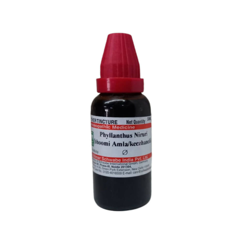 Dr. Willmar Schwabe India Phyllanthus Niruri Mother Tincture Q - Distacart