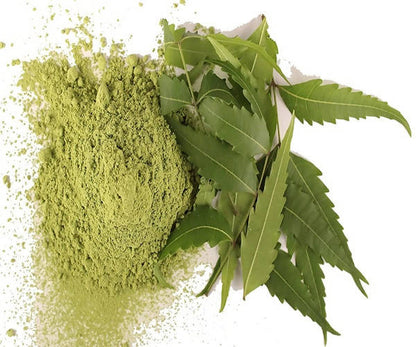 Dark Forest Bhringraj Powder : 100 gm / 200 gm  Dark Forest Brahmi Powder : 100 gm / 200 gm  Dark Forest Neem Powder : 200 gm