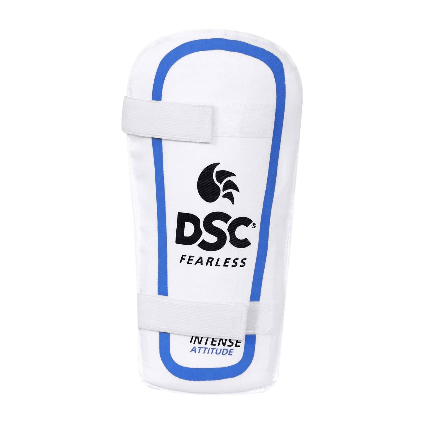 DSC Economy Kashmir Willow Cricket Kit (Size 5) - Distacart