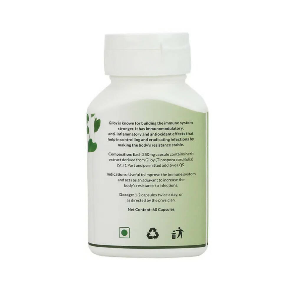 Pravek Giloy Veg Capsules - Distacart