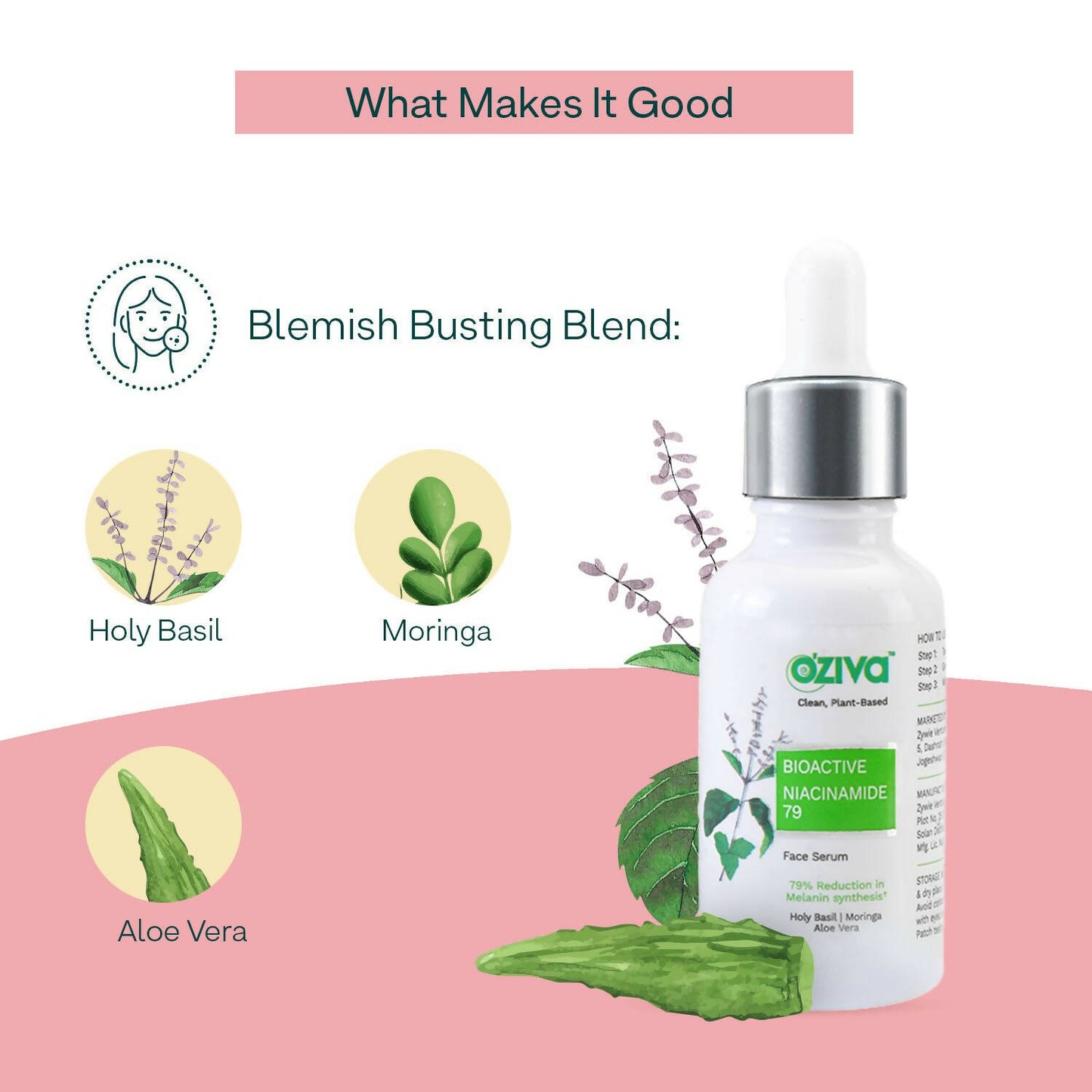 OZiva Bioactive Niacinamide 79 Face Serum - Distacart