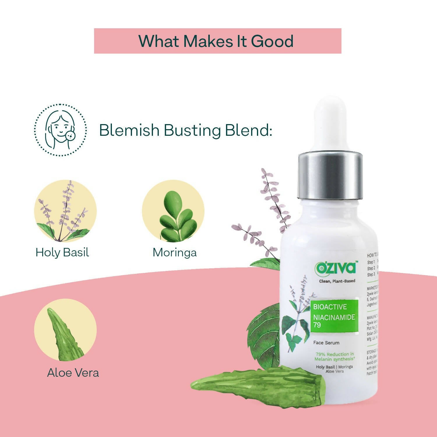 OZiva Bioactive Niacinamide 79 Face Serum - Distacart