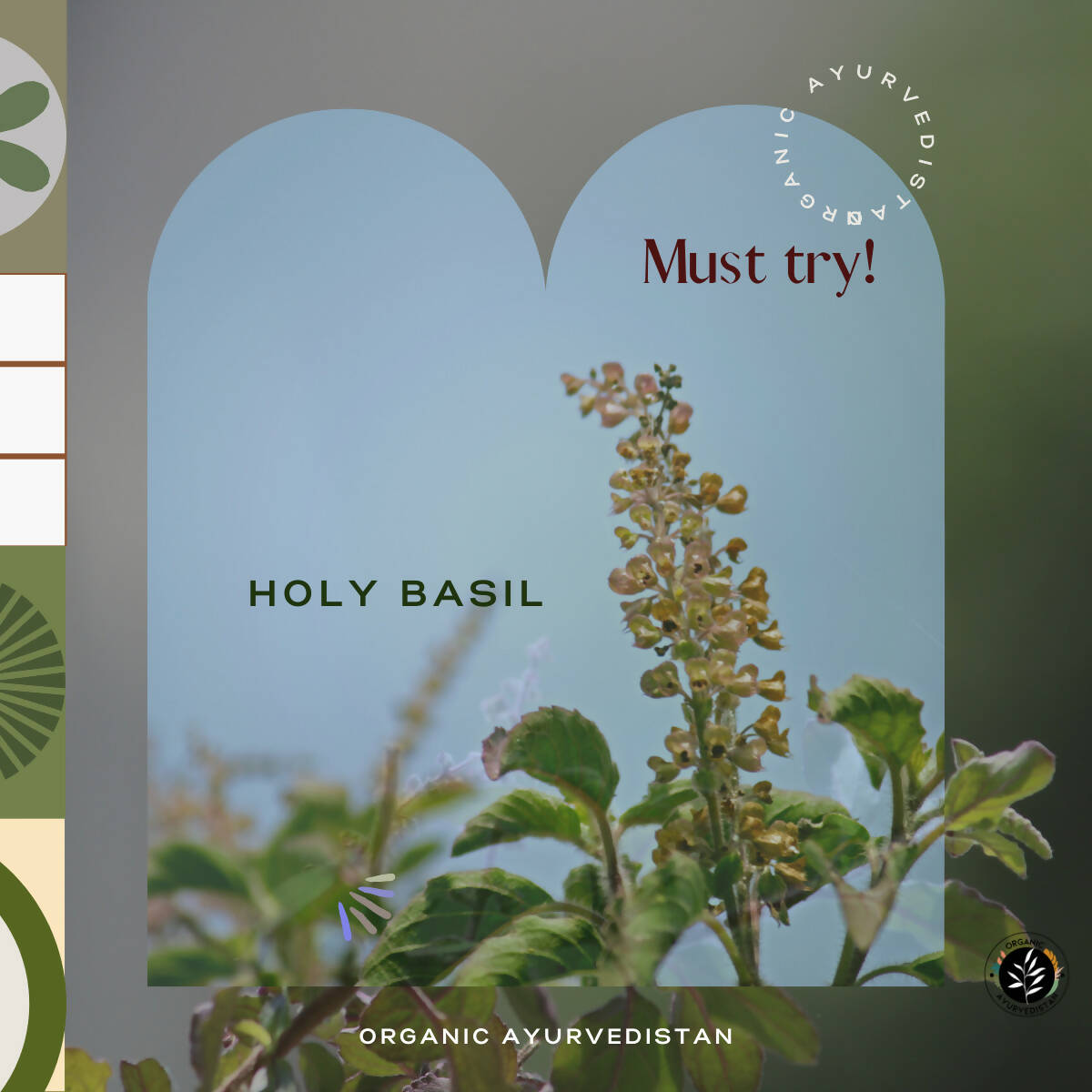 Organic Ayurvedistan Tulsi Powder - Distacart