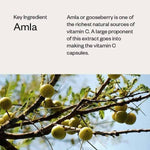 Thumbnail for Haeal Vitamin C Capsules