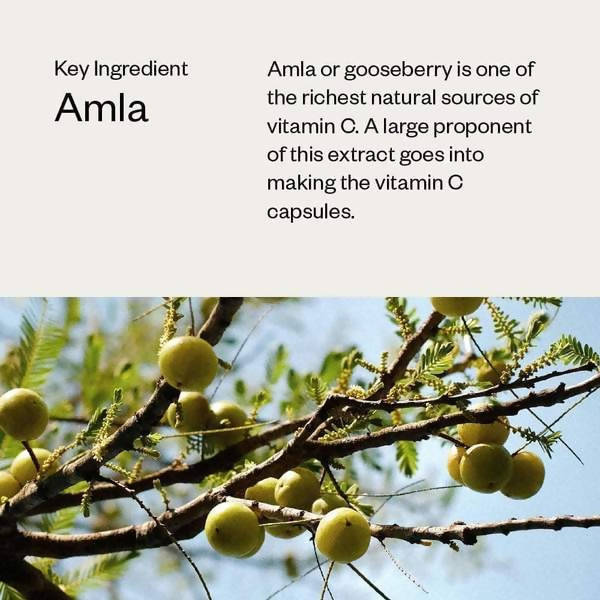 Haeal Vitamin C Capsules