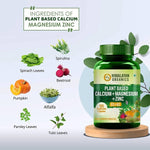 Thumbnail for Himalayan Organics Plant Based Calcium + Magnesium + Zinc, D3+K2 Vegetarian Capsules - Distacart