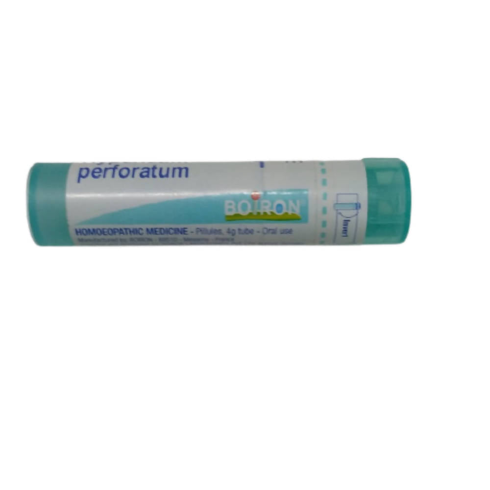 Boiron Homeopathy Hypericum Perforatum 6C