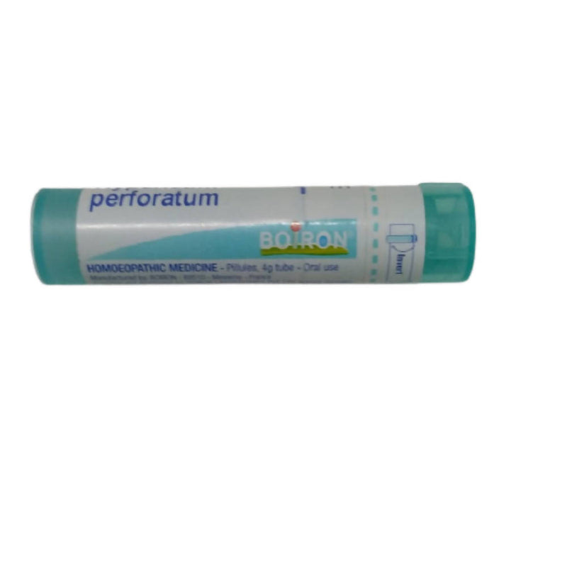 Boiron Homeopathy Hypericum Perforatum 6C