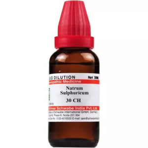 Dr. Willmar Schwabe India Natrum Sulphuricum Dilution - Distacart