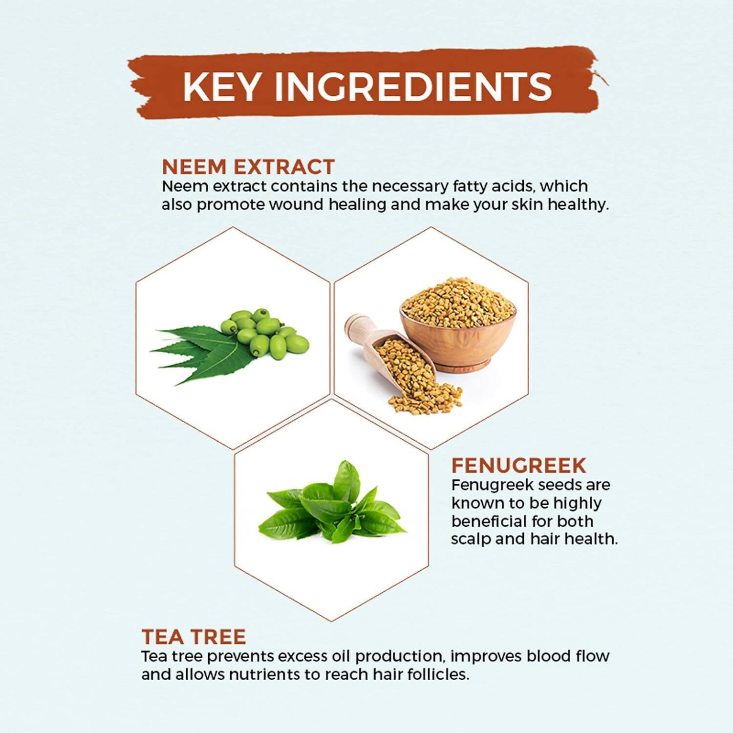 Oshea Herbals Neemclean Anti Dandruff Shampoo - Distacart