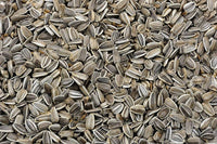 Thumbnail for Freshon Organic Sunflower Seeds - Distacart