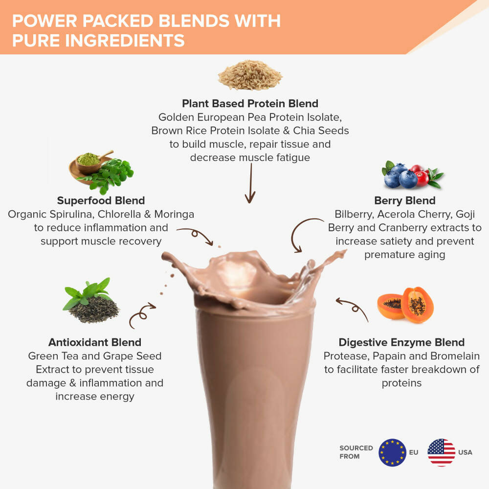 Wellbeing Nutrition Superfood Plant Protein-Dark Chocolate Hazelnut - Distacart