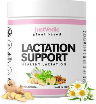 Just Vedic Lactation Support Drink Mix - Distacart