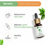 Thumbnail for Naturalis Essence of Nature Camphor Essential Oil Benefits 