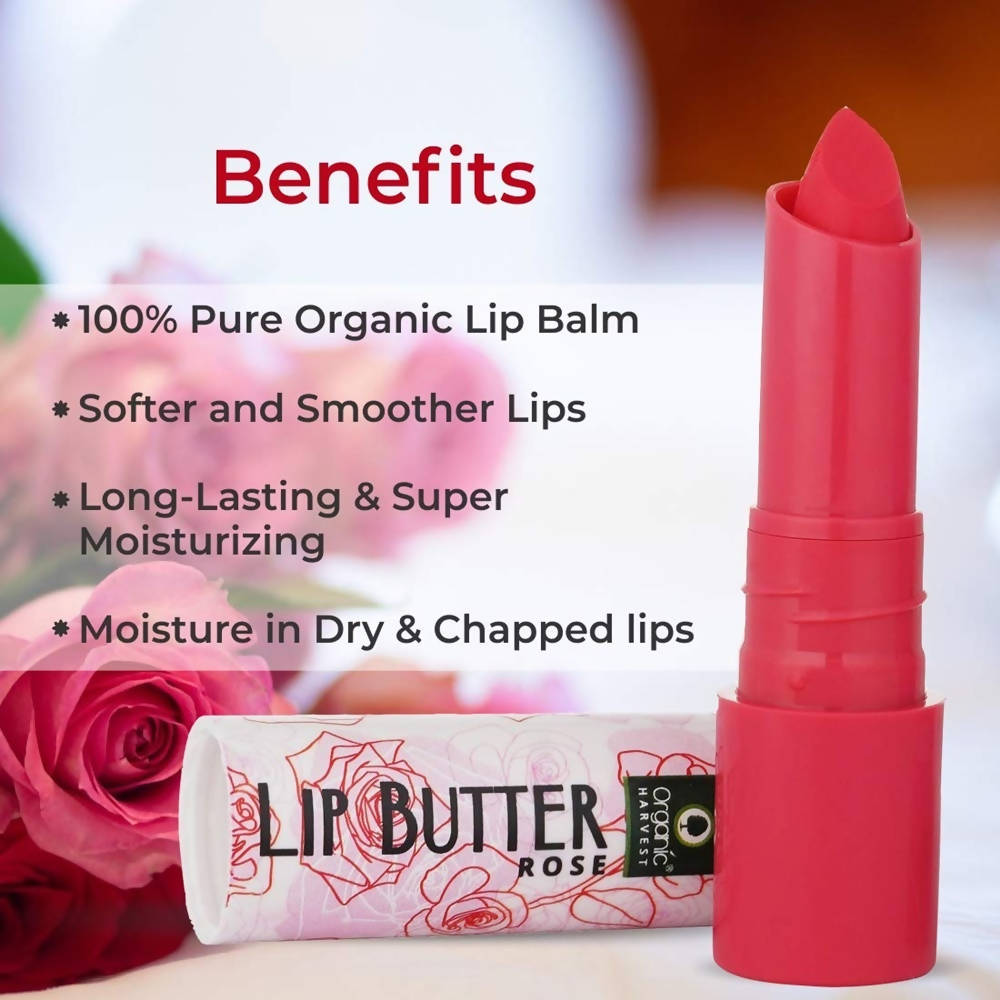 Organic Harvest Lip Butter (Rose)