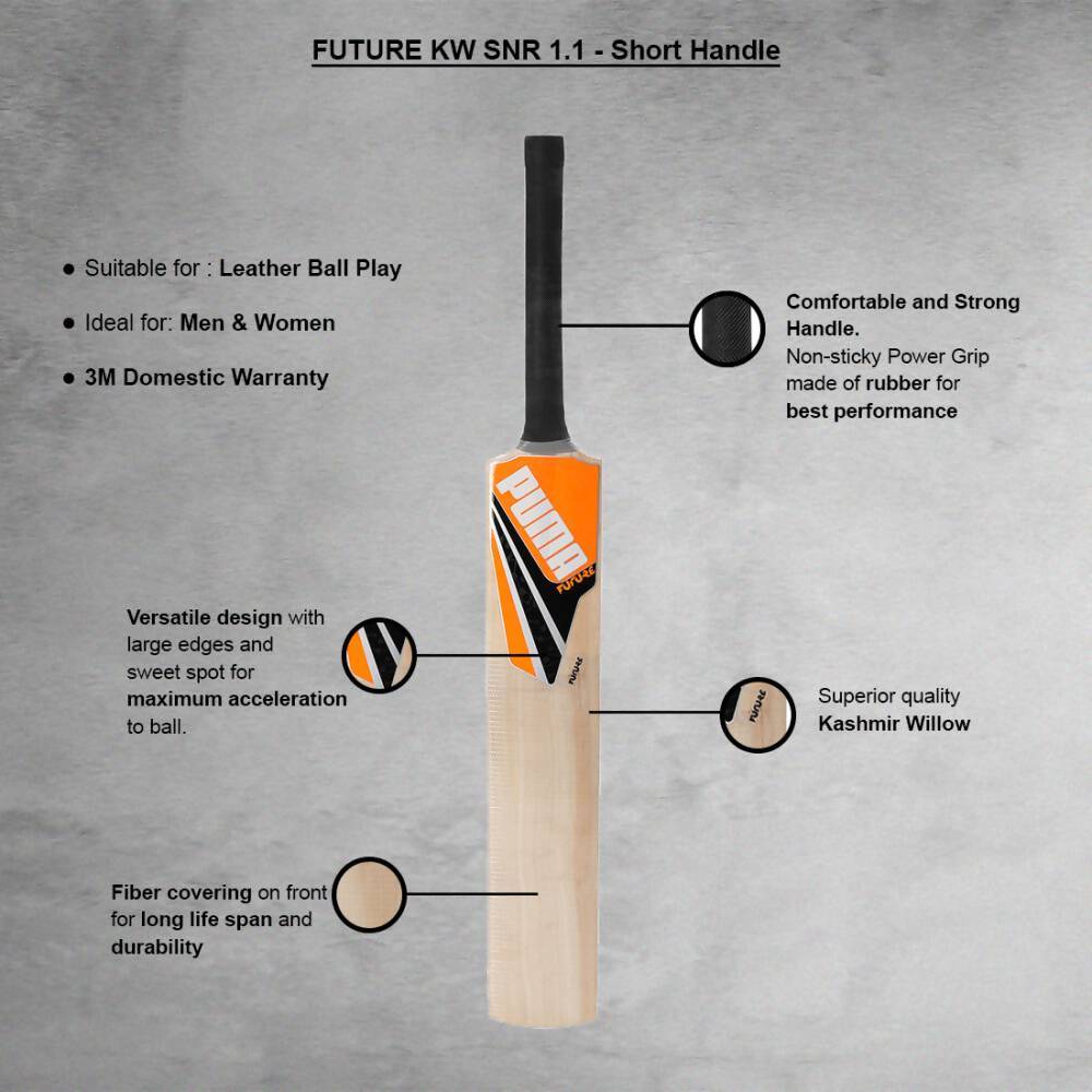 Puma Future Kashmir Willow Cricket Bat - Distacart