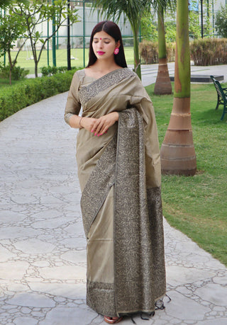 Vishnu Weaves Women's Chiku Handloom Raw Silk Woven Border Saree with Unstitched Blouse - Distacart