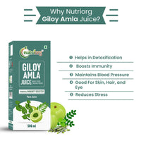 Thumbnail for Nutriorg Giloy With Amla Juice - Distacart