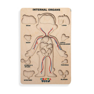 Nesta Toys Human Body | Internal Organs Wooden Puzzle - Distacart