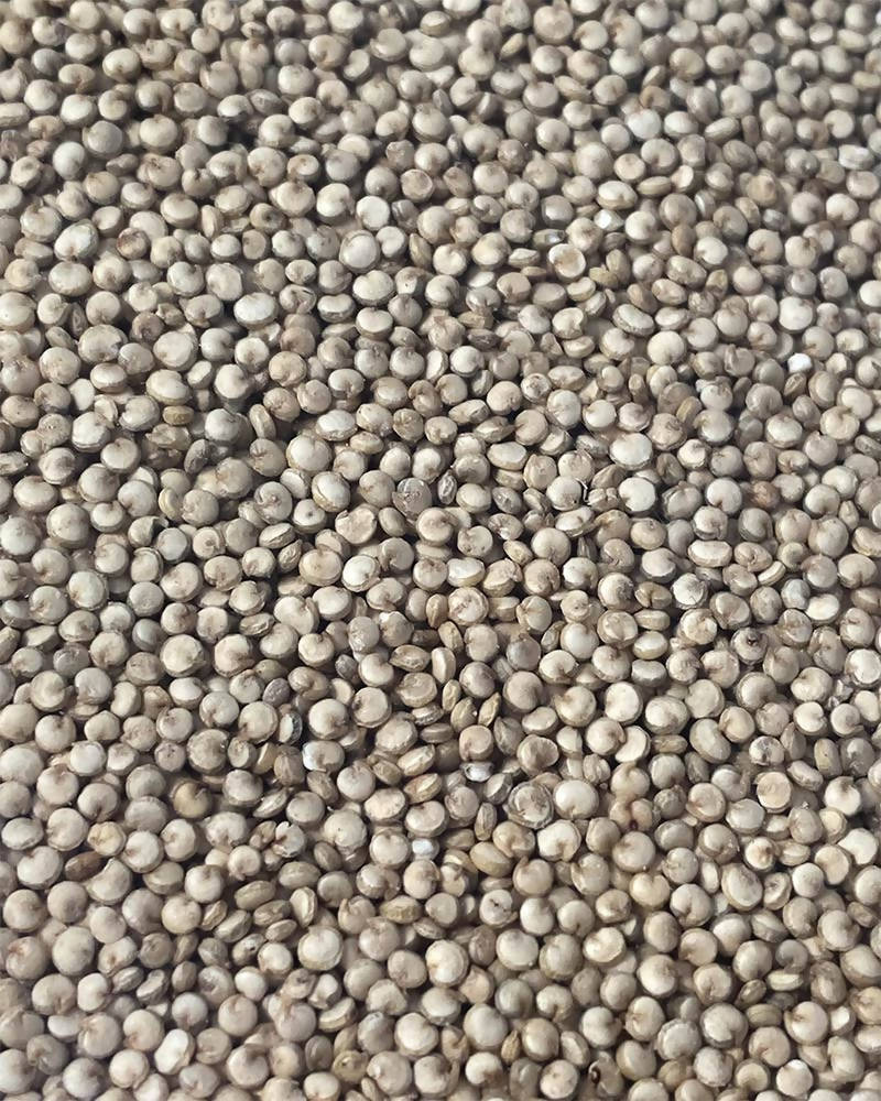Kalagura Gampa Natural Quinoa