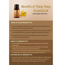 Thumbnail for Ancient Living Ylang Ylang Essential Oil - Distacart