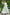 Juniper Women's Green Cambric Floral Printed Maxi Tiered Dress - Distacart
