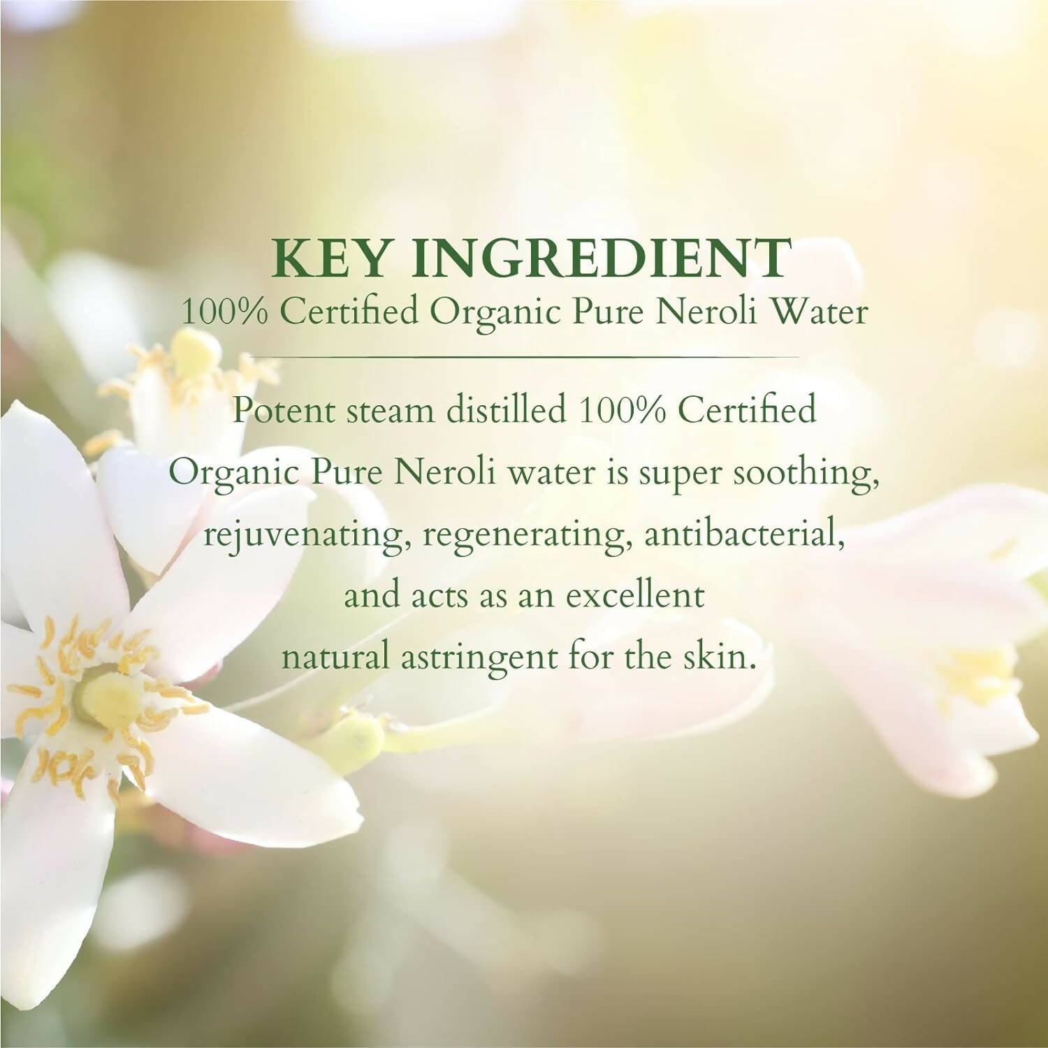 Lotus Organics+ 100% Pure Neroli Floral Water - Distacart