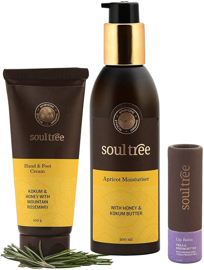 Soultree Hand And Foot Cream, Viola And Kokum Butter Lip Balm & Apricot Moisturiser Set