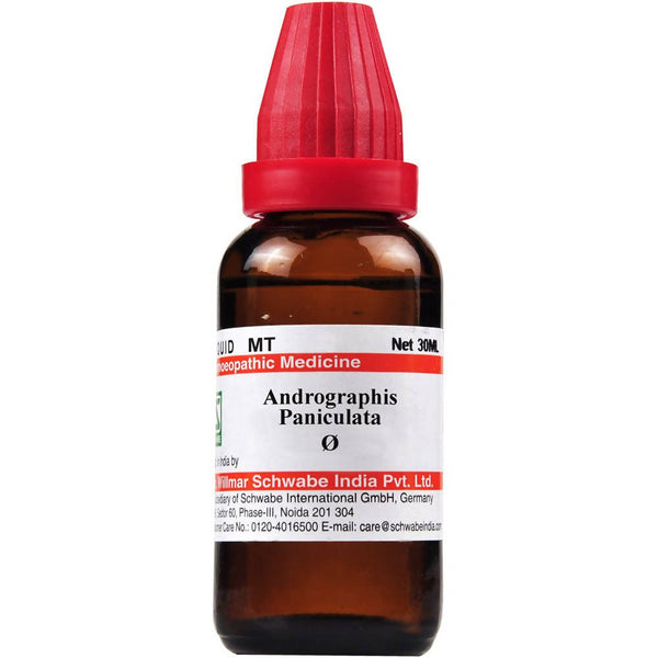 Dr. Willmar Schwabe India Andrographis Paniculata Mother Tincture Q
