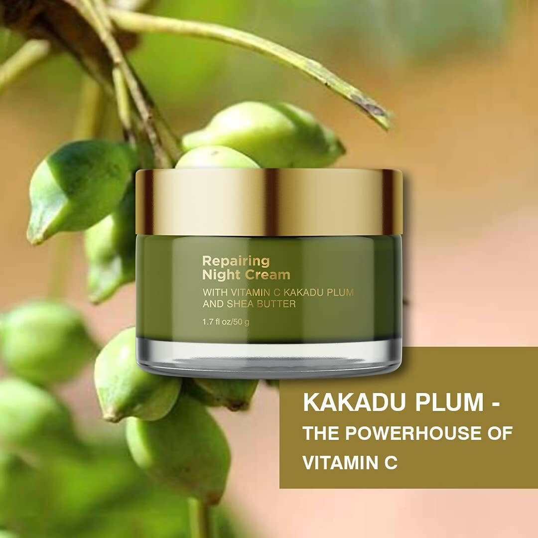 Coccoon Repairing Night Cream With Vitamin C Kakadu Plum and Shea Butter - Distacart