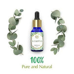 Thumbnail for The Beauty Co. Eucalyptus Essential Oil - Distacart