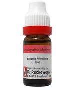 Thumbnail for Dr. Reckeweg Spigelia Anthelmia Dilution - Distacart