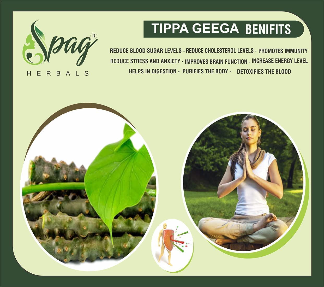 Spag Herbals Amrutha Balli Giloy Powder - Distacart