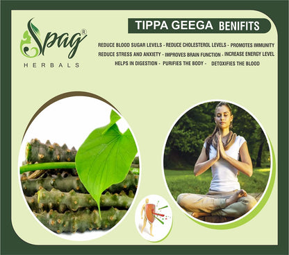 Spag Herbals Amrutha Balli Giloy Powder - Distacart