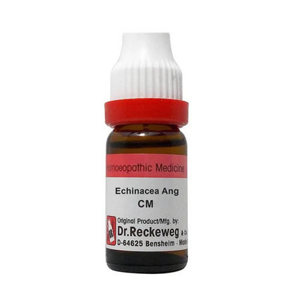 Dr. Reckeweg Echinacea Ang Dilution - Distacart