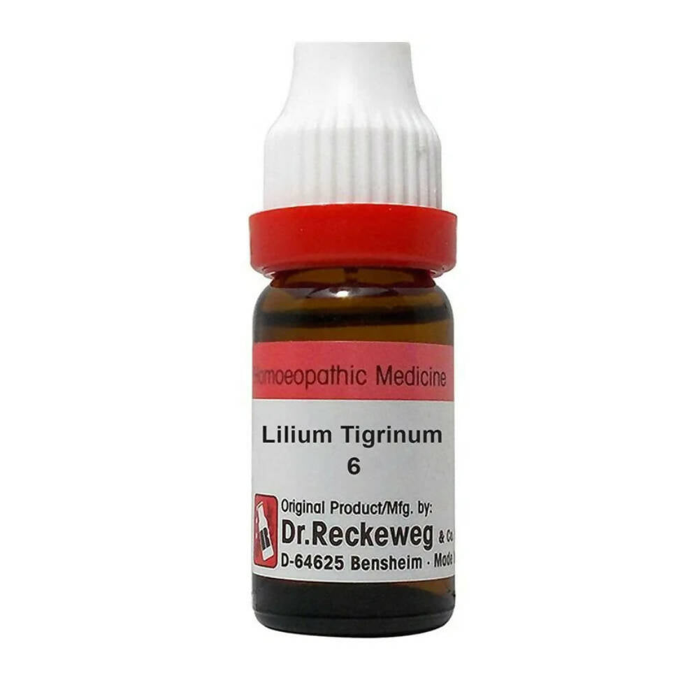 Dr. Reckeweg Lilium Tigrinum Dilution - Distacart
