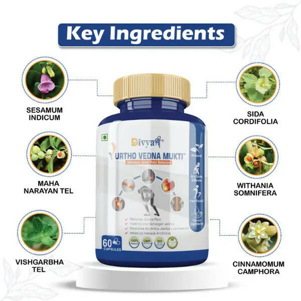 Divya Shree Urtho Vedna Mukti Capsules - Distacart