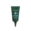 L'Occitane Purifying Freshness Rebalancing Scalp Essence - Distacart