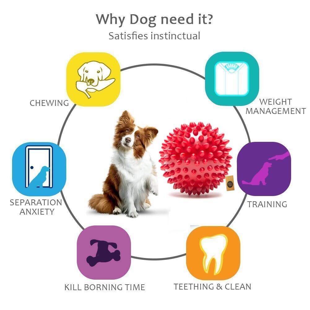 The Dogs Company Natural Rubber Spiked Ball Dog Chew Toy - Distacart