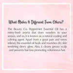 Thumbnail for The Beauty Co. Peppermint Pure & Natural Essential Oil - Distacart